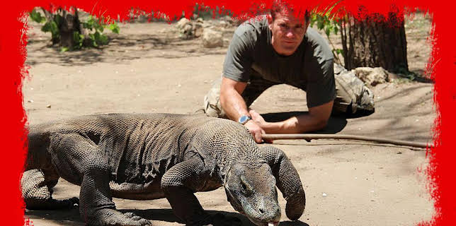 Grandes Documentales Fauna Letal