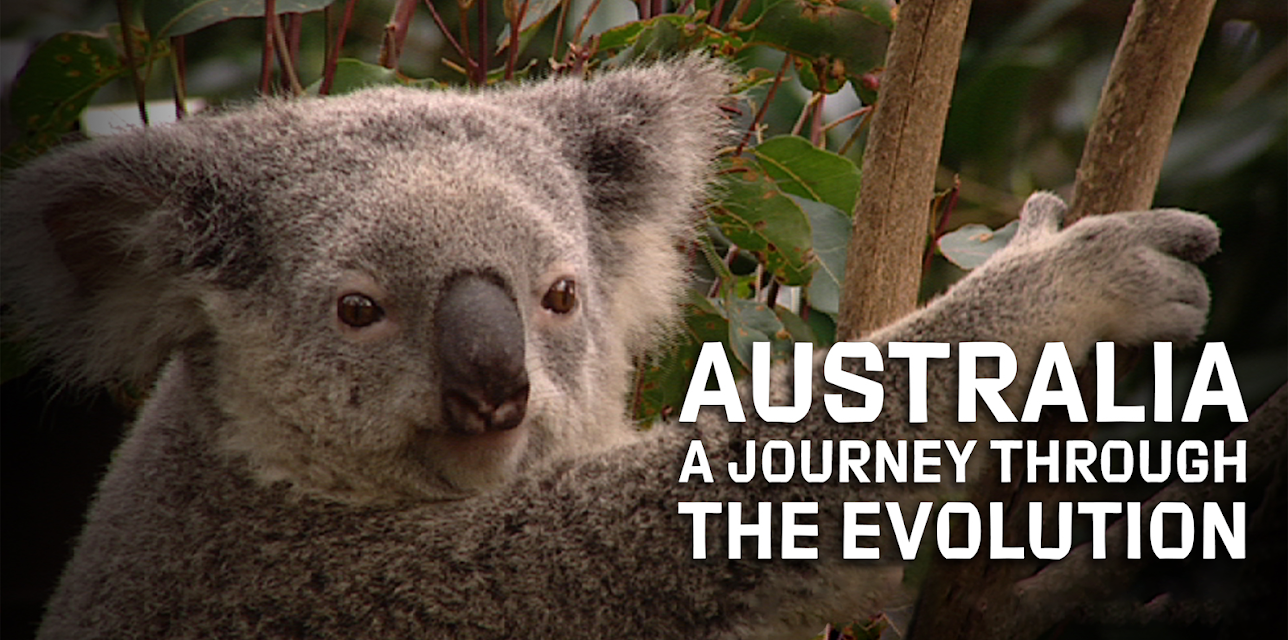 Australia: A Journey Through the Evolution (2014)