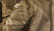 ¿Cómo lo hacen?: Campanas / Limpieza de huracanes / Dátiles