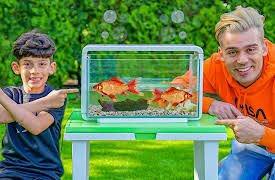 pocket.watch Jason Vlogs Ultimate mishmash: Bites and Bounces with Jason!