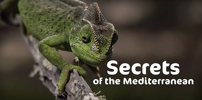 Secrets of the Mediterranean