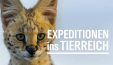 Expeditionen ins Tierreich