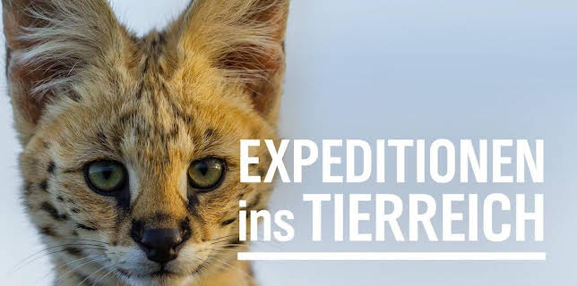 20:15: Expeditionen ins Tierreich | Radio Bremen | 1/14 2026