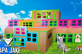 Papa Jake: 3 Story Box Fort Dog Hotel!