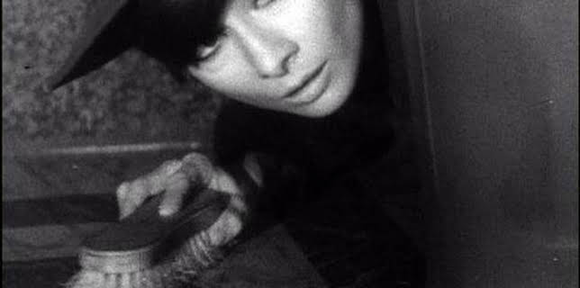 How To Steal A Million (1966)