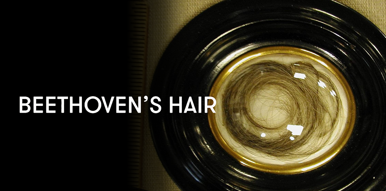 Beethoven’s Hair (2008)