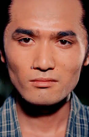 Toshiyuki Hosokawa as 