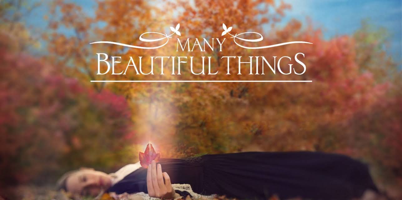 Many Beautiful Things (2016)