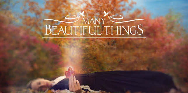 Many Beautiful Things (2016)