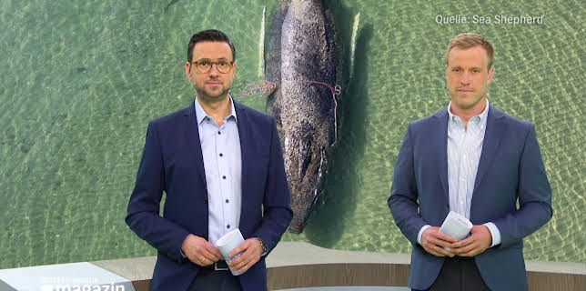 10:00: Schleswig-Holstein Magazin | NDR Fernsehen | 3/24 2026