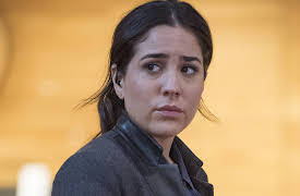 Blindspot: 19. In the Comet of Us