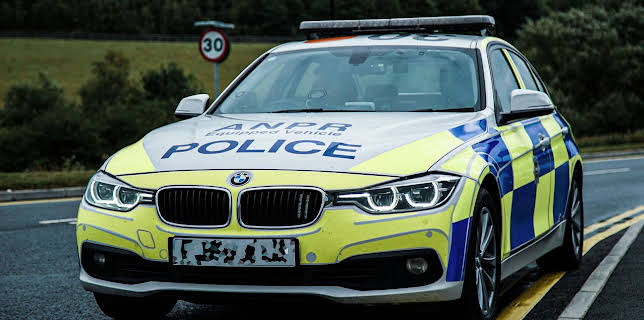 1:00 PM: Traffic Cops (S10 E4) (S10) | 5 Star | 11/19 2025