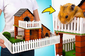 Slick Slime Sam: Building House And Water Park For Hamster