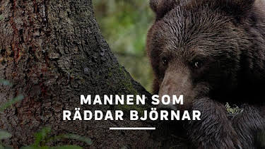 21:00: Mannen som räddar björnar | Kunskapskanalen | 9/1 2026