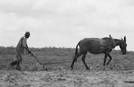 African American History: From the African Coast to the Civil War: The Fruits and Failures of Reconstruction