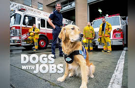 Dogs with Jobs: Nipper: Celebrity Dog & Bellow: Cheetah Dog