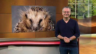 06:25: Wir im Saarland - Saar nur! | SR Fernsehen | 4/13 2026