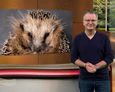 Wir im Saarland - Saar nur!