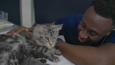 3:45 AM: Fur Babies | Channel 4 | 8/13 2026
