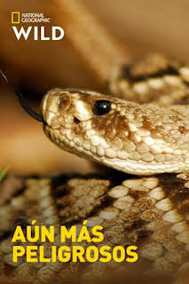 19:50: Aún más peligrosos: Asesinos en el hielo | Nat Geo Wild | 1/8 2026