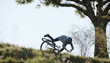 Racko - Ein Hund für alle Fälle (4)