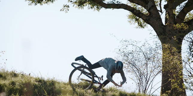 08:55: Racko - Ein Hund für alle Fälle (4) | Das Erste | 1/11 2026