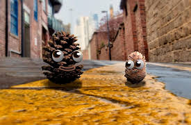 Pops and Peanut: Season 1: Ocean