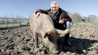 9:00 PM: New: What Not to Eat | Channel 4 | 1/13 2026