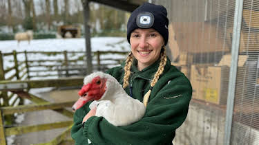 10:00 AM: The Yorkshire Vet (S20 E4) (S20) | 5 Select | 4/10 2026