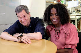 Beyond the Elements, Season 1: Reactions