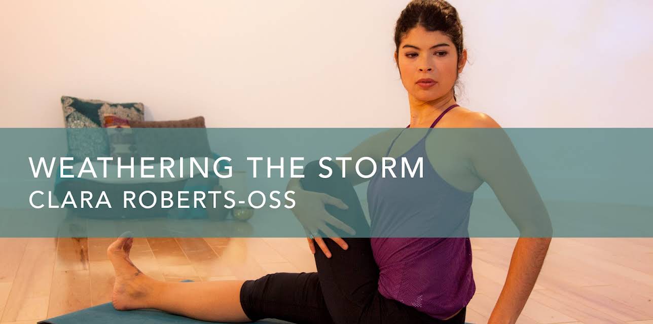 Weathering the Storm (2014)