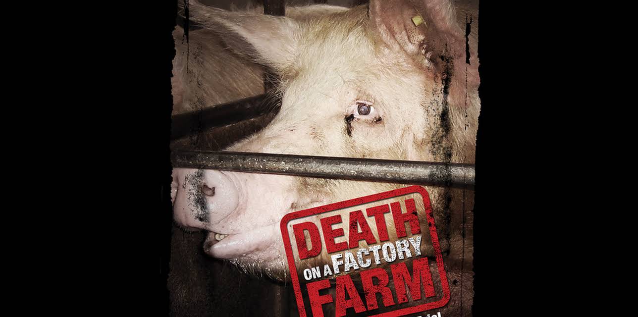 Death on a Factory Farm (2009)
