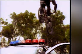 Pacific Blue, Season 1: Out of the Past