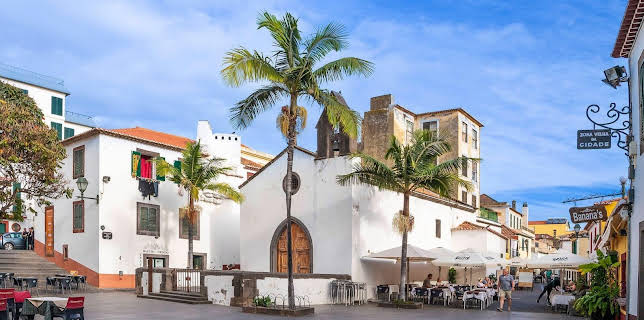 03:35: Madeira - Wo der Ozean die Berge formt | MDR Fernsehen | 1/22 2026