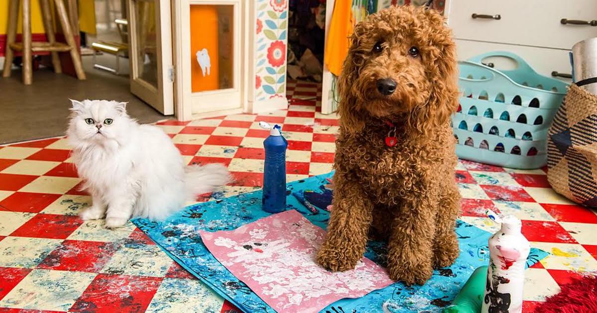 5:20 PM: Waffle the Wonder Dog (S2) | Cbeebies | 5/18 2026