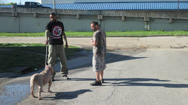 16:00: Pit Bulls & Parolees (S8 E3) (S8) | Animal Planet | 12/29 2025