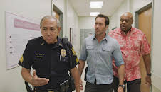 Hawaii Five-0 (S10 E20)