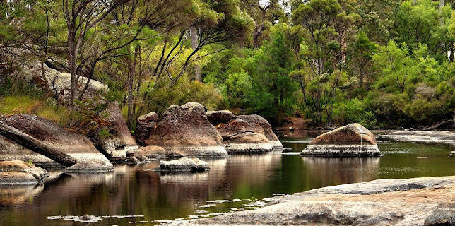 01:00: In den Feuerwäldern Westaustraliens | RBB Fernsehen | 12/10 2025