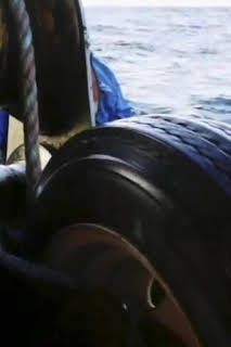 11:13: Pesca radical: La sangre siempre tira | Discovery | 7/22 2026