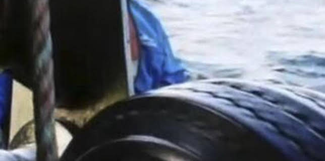 11:15: Pesca radical: La sangre siempre tira | Discovery | 2/20 2026