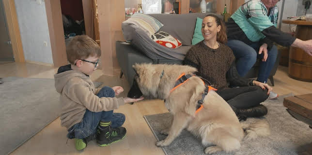 20:15: Die Welpen kommen - Mit Martin Rütter | VOX | 3/17 2026