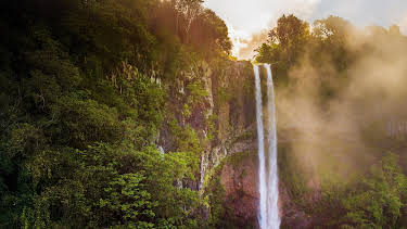 17:50: Wilde Trauminseln | Arte | 3/31 2026