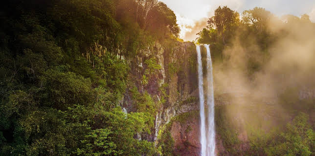 15:15: Expeditionen ins Tierreich | Radio Bremen | 3/8 2026