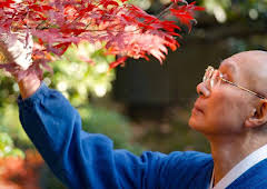 Nature and Us: A History through Art