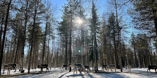 11:35: Finnland - Winter im hohen Norden | 3SAT | 12/24 2025