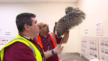 08:50: Grensevakten (S12 E9) (S12) | MAX | 3/27 2026