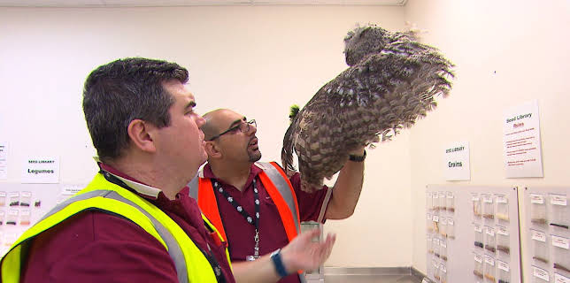 16:30: Grensevakten (S12 E9) (S12) | MAX | 1/16 2026