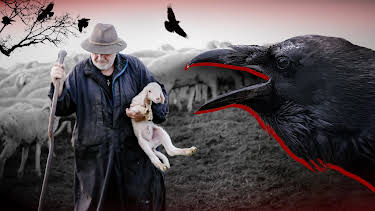 05:02: Gefährliche Raben | Tagesschau 24 | 3/29 2026