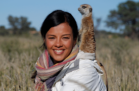 Animals in Love: Getting Together