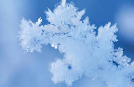 Oceanography: Exploring Earth's Final Wilderness: How the Physics of Water Controls the Ocean